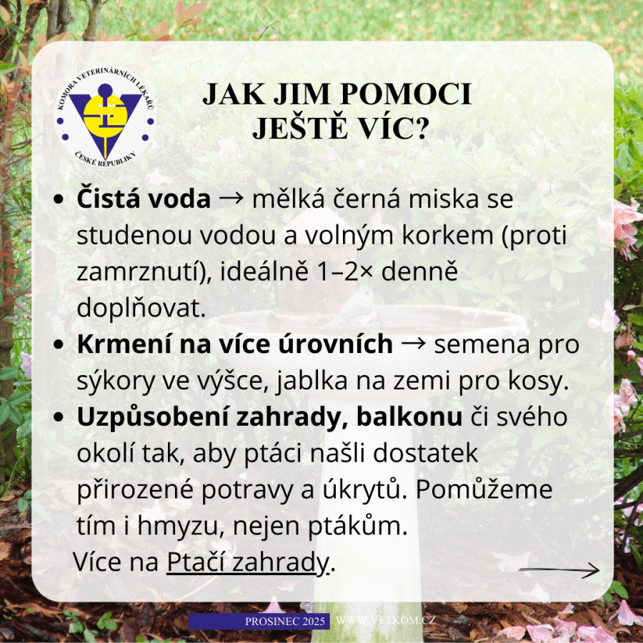 2025-12-08-07. jak pomoci ptákům v zimě.png